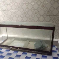 اکواریوم