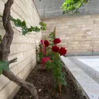 فروش-آپارتمان-85-متر-دو-خواب-نوساز-مقسمی