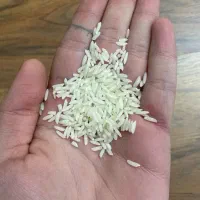 برنج هاشمی درجه یک گیلان فوری