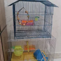 دوتا قفس