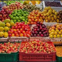 کارگرساده کاردرمیوه فروشی