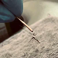 تعویض شیشه و ترمیم شیشه در رشت