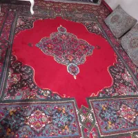 قالی