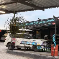 اجاره-تعویض-روغن-چالوس