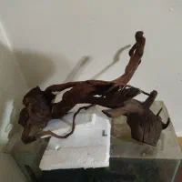 چوب آبنوس