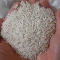 برنج طارم هاشمی عطری شمال بوجاری شده دو الکه