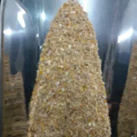 خوراک ویژه جوجه اردک بلدرچین