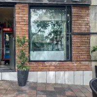 نیروی وارد کار جیگرکی