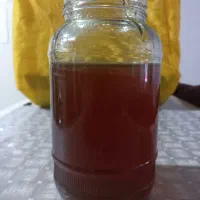 عسل طبیعی ارگانیک اصل