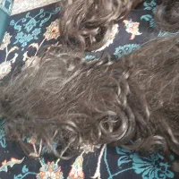 کله مانکن/کلاه گیس/