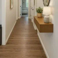 کارتن تلویزیون