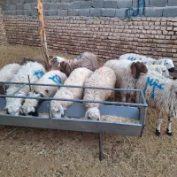 بره نر دورگ