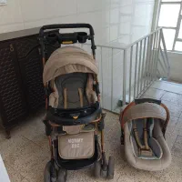 کالسکه دلیجان مدل بنیتا