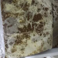 سبزی،سرخ شده و خام
