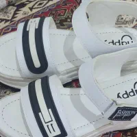 صندل