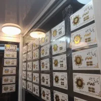 سکه پارسیان
