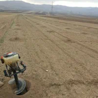 خدمات باغبانی چالکود،هرس،سم پاشی،تیلرخریدچوب علفزن