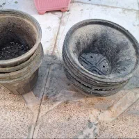 گلدان پلاستیکی مشکی مناسب
