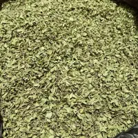 آویشن کوهی