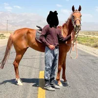 مادیون ترکمن 5ساله کورسی