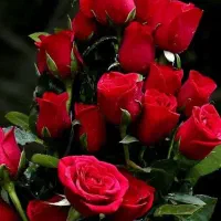 جامانده کربلا