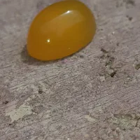 شرف شمس ناب قدمت بالا