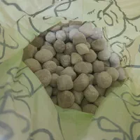 کشک گوسفندی