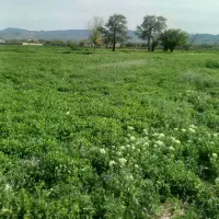 شهرکهنه زمین فروشی سنددار ۷۰۰متری