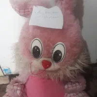 به عروسک توجه کنید