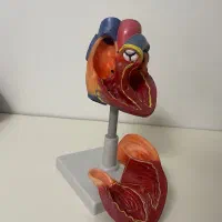 مولاژ قلب