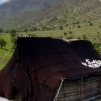 سیاه چادر