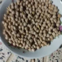 نخود تمیز