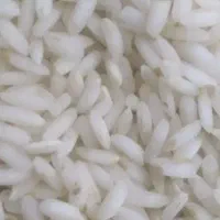 برنج.عنبربو