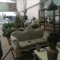 فروشنده خانم گلخانه