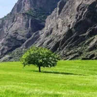 طبیعت گردی،کوهنوردی،ارامش