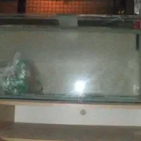 اکواریوم