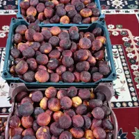 انجیر