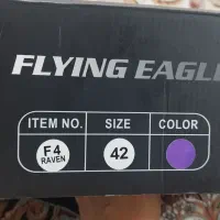 اسکیت