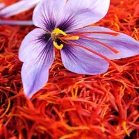 خریدار زعفران