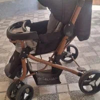 کالسکه مارک دلیجان