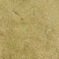 کاه عدس درجه ۱ تروتمیزسبز