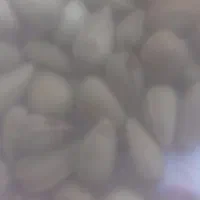 بادام کوهی