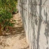 زمین-کشاورزی
