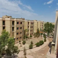 پرند-سند-تک-برگ-تک-خواب-بزرگ