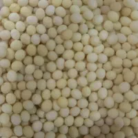 خاویار حلزون