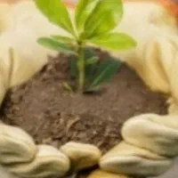 کارگر باغبانی