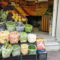پالت میوه فروشی