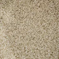 برنج درجه یک تیلکی و بذرپاش