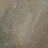 فروش ۱۰تن گندم امسال درجه یک
