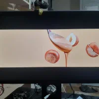 مانیتور DELL P2214h  فول hd